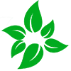 leaf icon